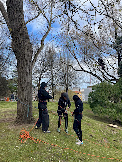 Curso formativo en escalada, maniobras y uso de nudos (COLEF)
